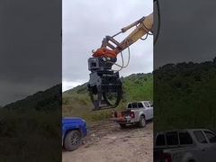 Ο WuYing, ο λαμβάρης σκαπανών, με κοστούμι 5-10/11-16 τόνων, με τέσσερα νύχια, που κρατάει ξύλα.