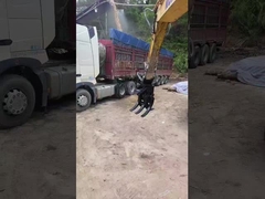 Υπόθεση για την εκτέλεση των καθηκόντων