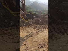 Υδραυλικός τύπος WuYing Grabber Excavator, Πεντάδαρμος Grabber Wood, Κοστούμι για Excavator